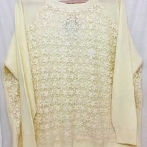 NWT Plus Size Anthology Lace Sweater Cream